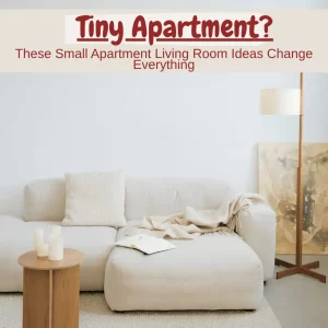 Small Apartment Living Room Ideas