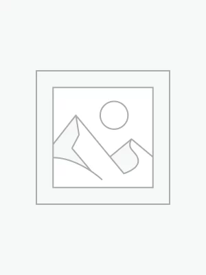 Badmeri Cotton Cushion Cover
